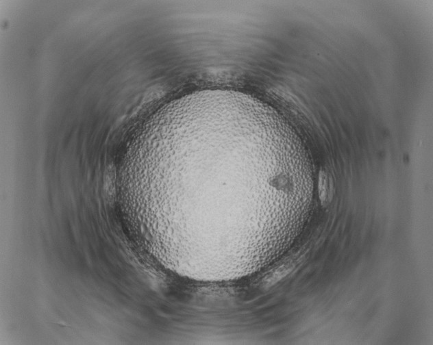 X0000088021107200705251044