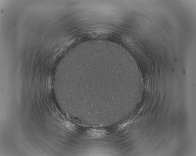 X0000088021108200705251045