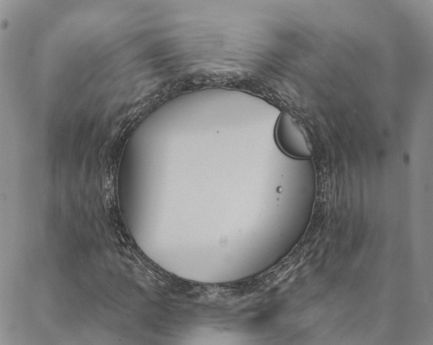 X0000088021109200705251045