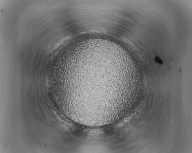 X0000088021110200705251045