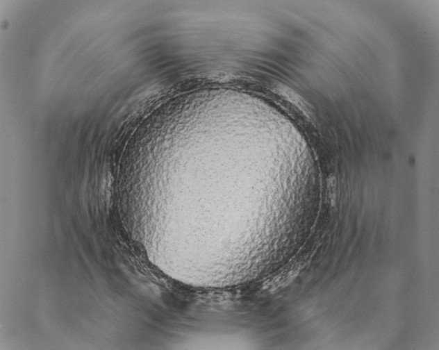 X0000088021111200705251045