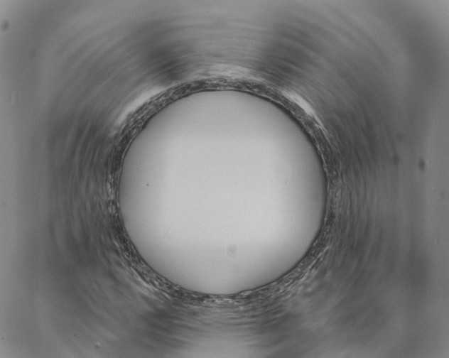 X0000088021112200705251045