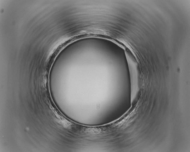 X0000088021115200705251045