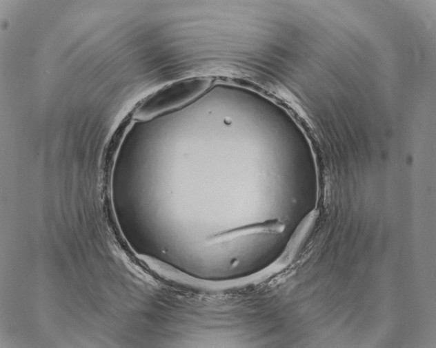 X0000088021116200705251045