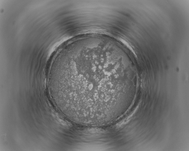 X0000088021117200705251045