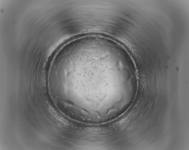 X0000088021118200705251045