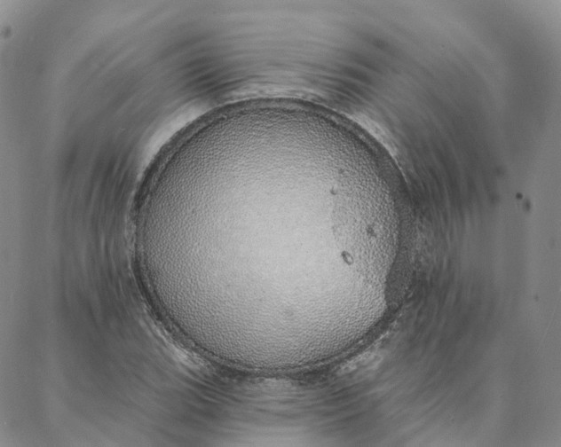 X0000088021119200705251045