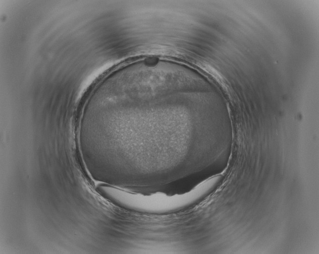 X0000088021120200705251045