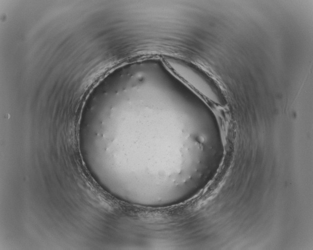 X0000088021121200705251045