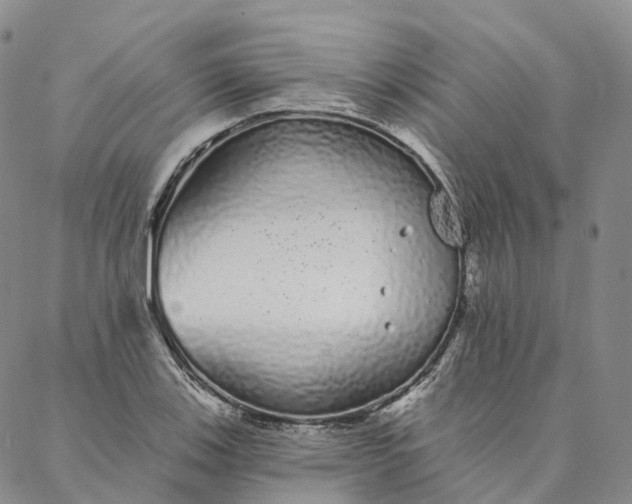 X0000088021123200705251045