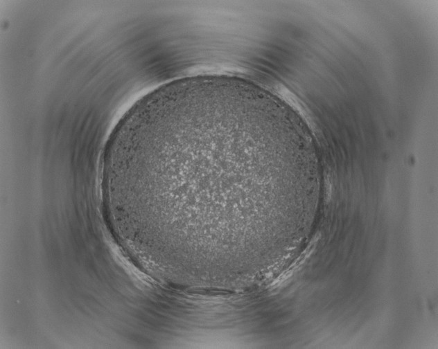 X0000088021124200705251045