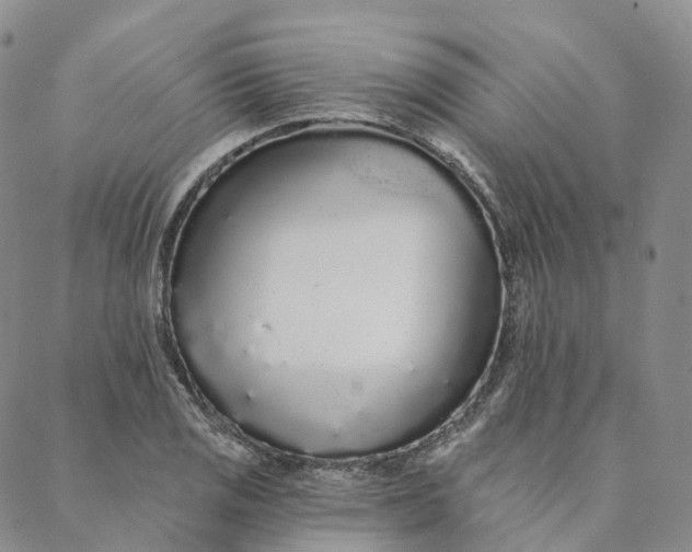 X0000088021125200705251045