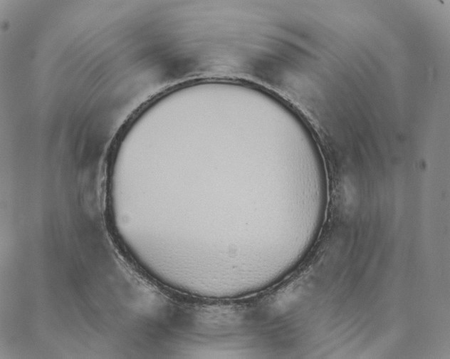 X0000088021126200705251045