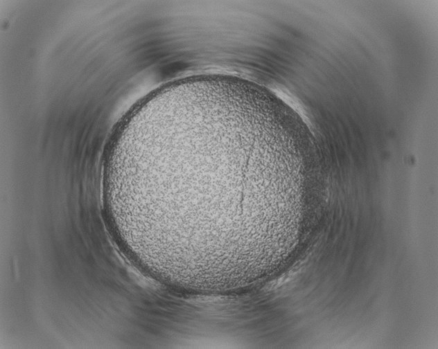 X0000088021127200705251045