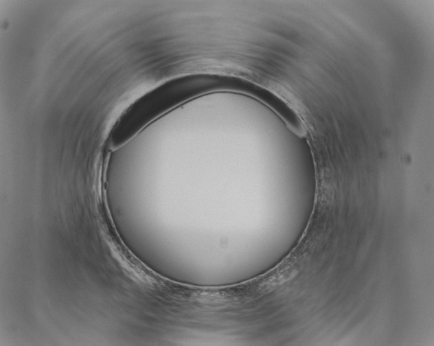 X0000088021128200705251045