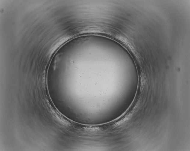 X0000088021129200705251045