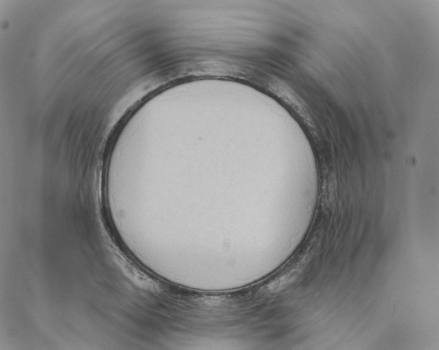 X0000088021130200705251045