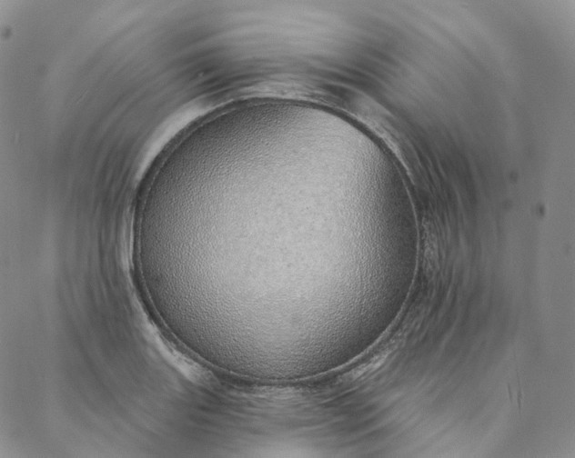 X0000088021131200705251045