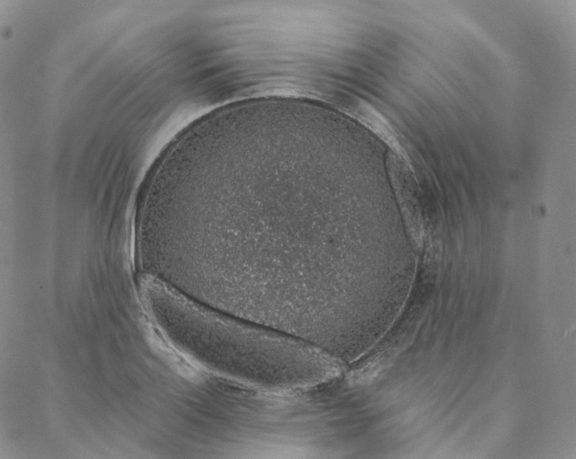 X0000088021132200705251045