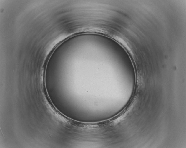 X0000088021133200705251045