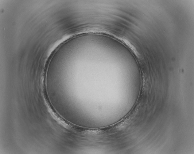 X0000088021134200705251045