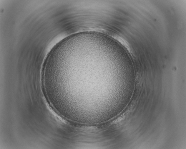 X0000088021135200705251045