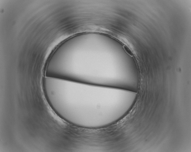 X0000088021136200705251045