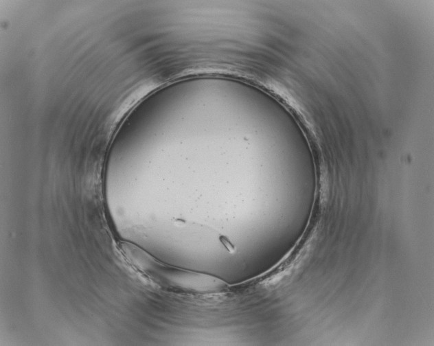 X0000088021137200705251045