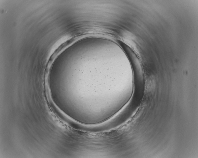 X0000088021138200705251045