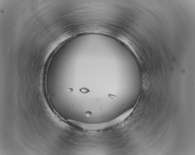 X0000088021139200705251045