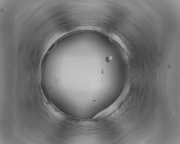 X0000088021140200705251045