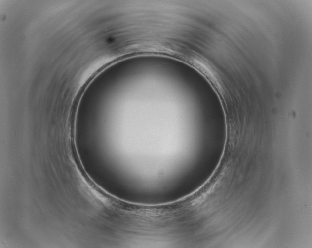 X0000088021141200705251045