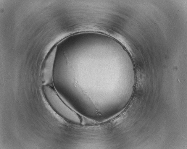 X0000088021142200705251045