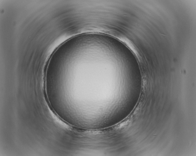 X0000088021143200705251045