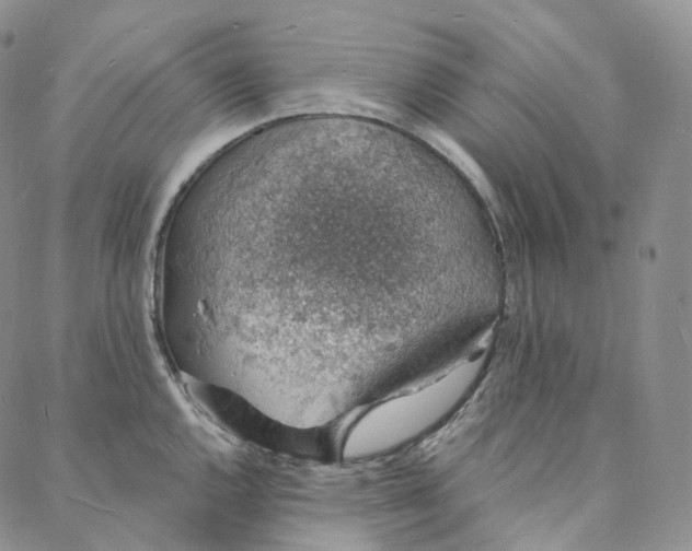 X0000088021144200705251045