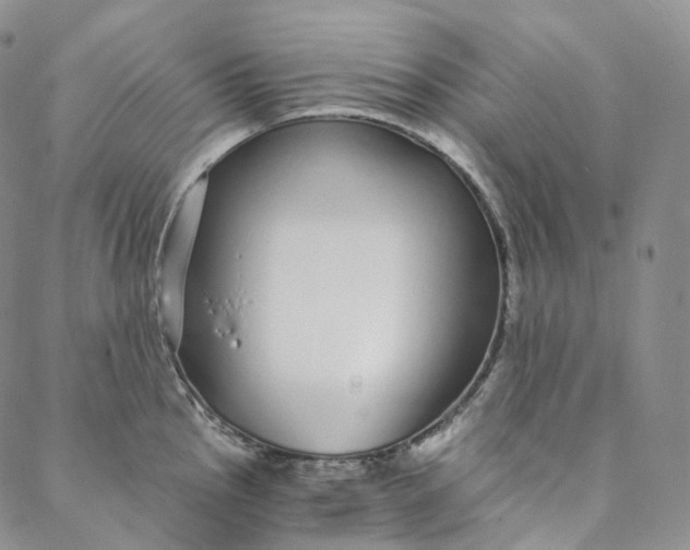 X0000088021145200705251045