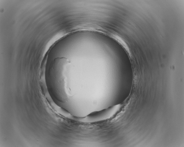 X0000088021146200705251045