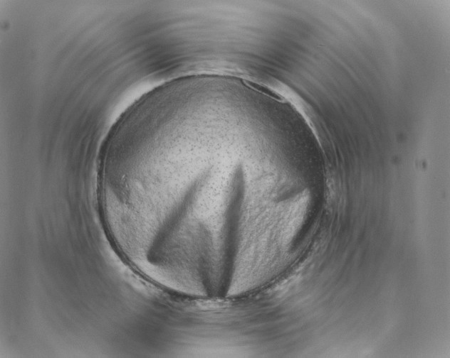 X0000088021147200705251045