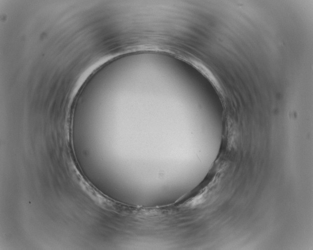 X0000088021148200705251045