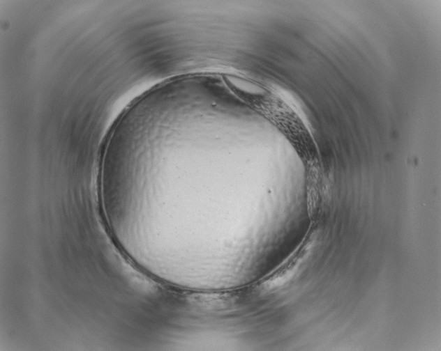 X0000088021149200705251045