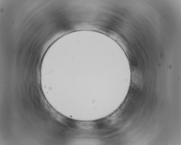 X0000088021150200705251045