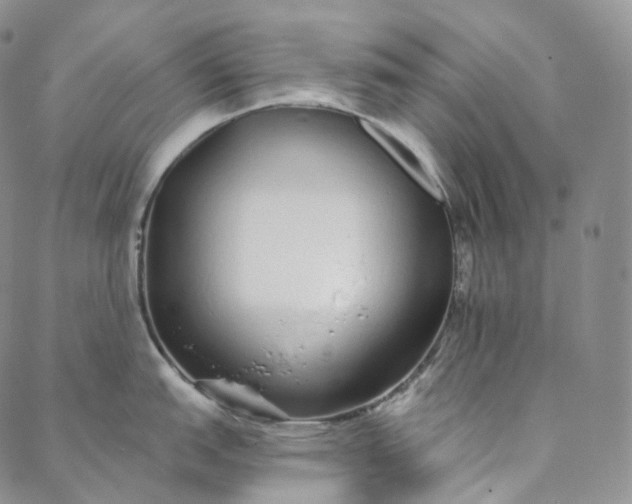 X0000088021151200705251045