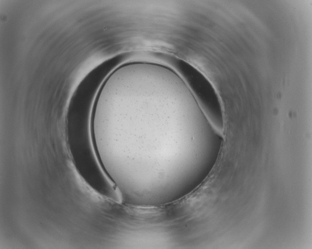 X0000088021152200705251045