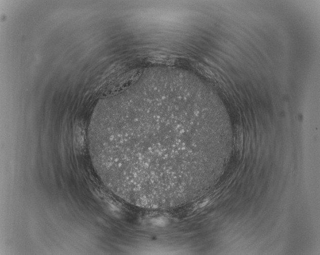 X0000088021154200705251044