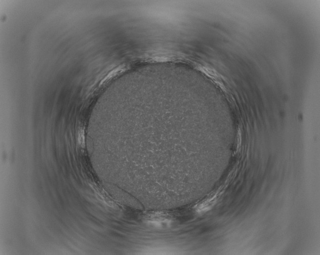 X0000088021155200705251044