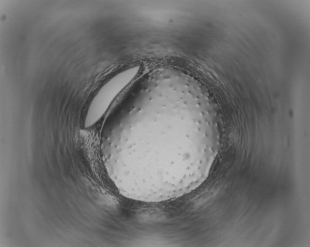 X0000088021156200705251044