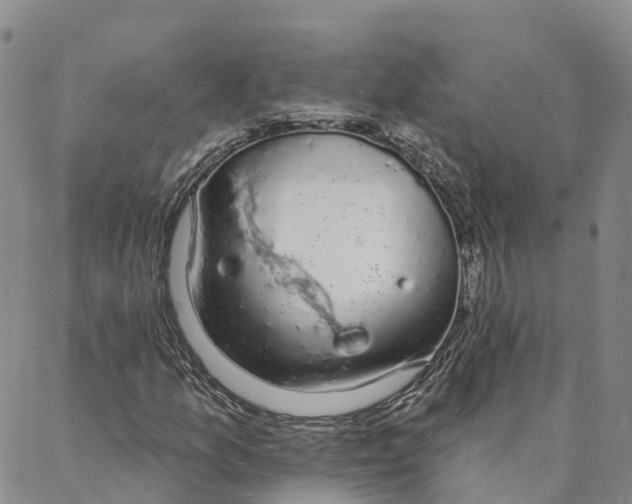 X0000088021157200705251044