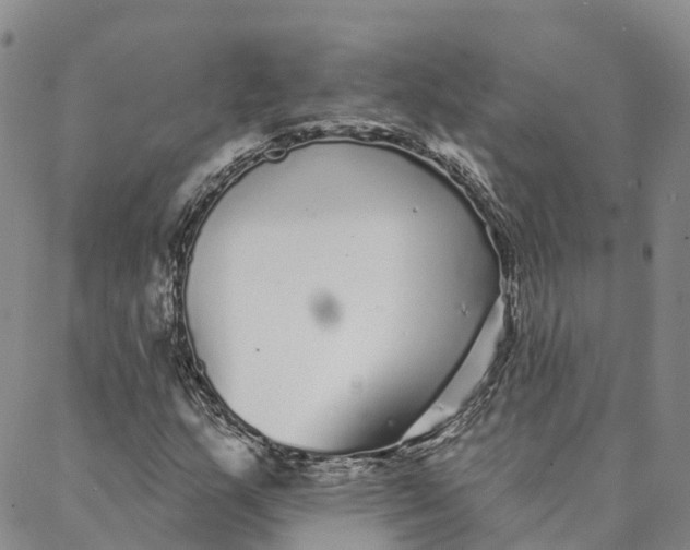 X0000088021159200705251044