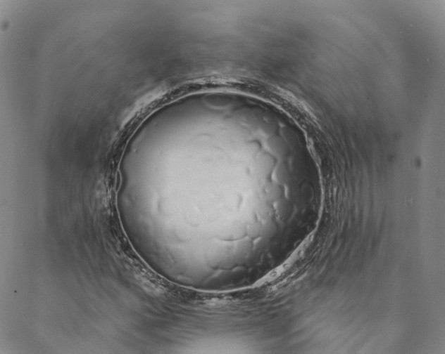 X0000088021160200705251044