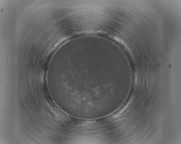 X0000088021161200705251044